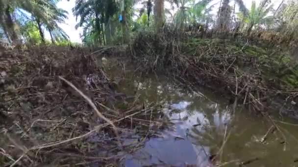 在农场路边发现的排水渠 — 图库视频影像