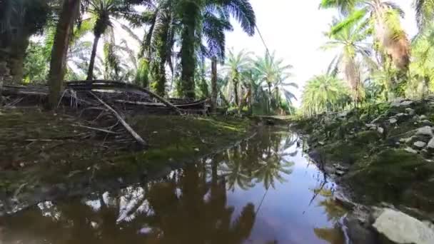 在农场路边发现的排水渠 — 图库视频影像