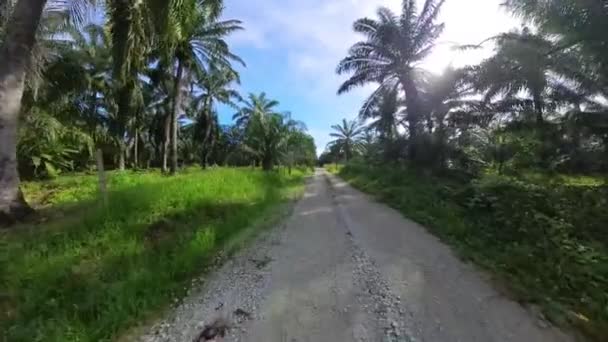 Walking Rough Gravel Rural Countryside Road — Stockvideo