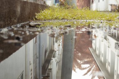 stagnant pool of water scene after rain at the suburb asphalt street 