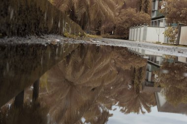 stagnant pool of water scene after rain at the suburb asphalt street 