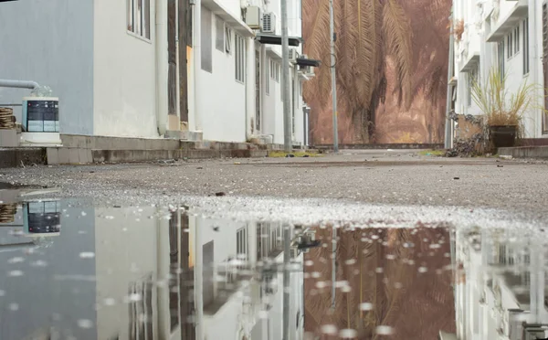 Stagnant Pool Water Scene Rain Suburb Asphalt Street — 스톡 사진