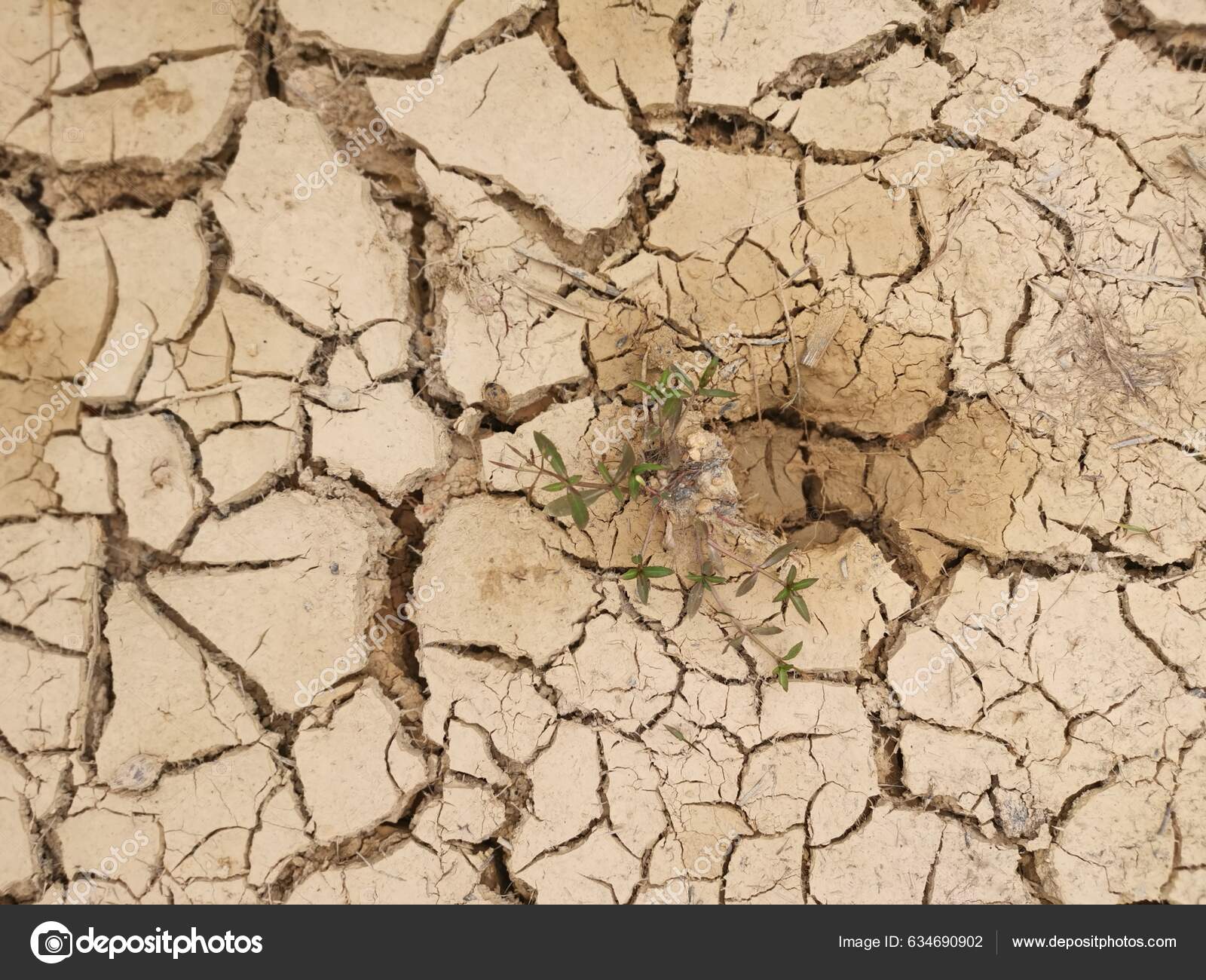 Tierra Agrietada Seca Textura Fondo Tierra Agrietada Seca Tierra Agrícola Fotografía De Stock 8955