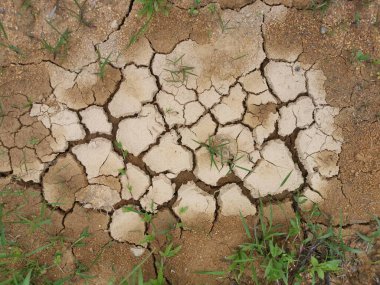 dry cracked soil texture backgrounddry crack earth at the agriculture land due to drought.