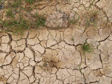 dry cracked soil texture backgrounddry crack earth at the agriculture land due to drought.