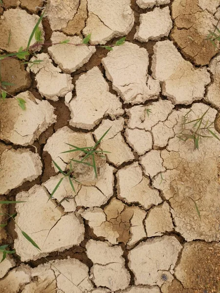 dry cracked soil texture backgrounddry crack earth at the agriculture land due to drought.