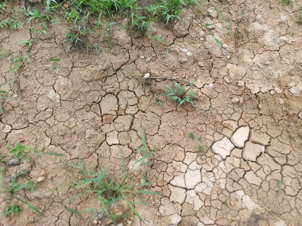 dry crack earth at the agriculture land due to drought.