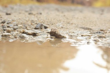 low-angle shots of gravel puddle pathway in the plantation.
