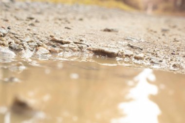 low-angle shots of gravel puddle pathway in the plantation.