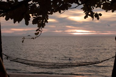 infrared image of the tree branches haning out with sunset sky background.