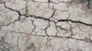 dry crack earth at the agriculture land due to drought. 