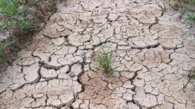 dry crack earth at the agriculture land due to drought. 