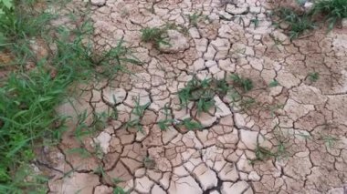 dry crack earth at the agriculture land due to drought. 