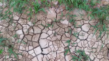 dry crack earth at the agriculture land due to drought. 