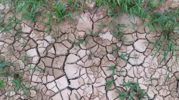 Dry Crack Earth Agriculture Land Due Drought — Stok Video