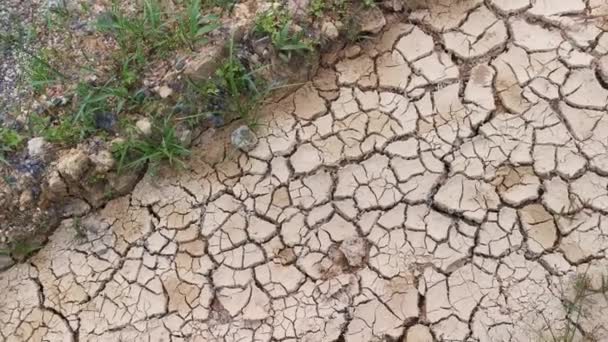 Dry Crack Earth Agriculture Land Due Drought — Vídeo de Stock