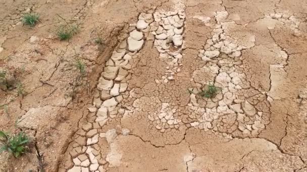 Dry Crack Earth Agriculture Land Due Drought — Stock videók