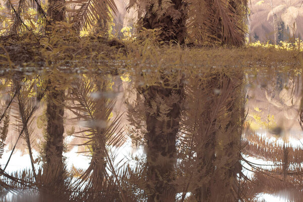 scene of gravel and overgrowth by the puddle bank. 