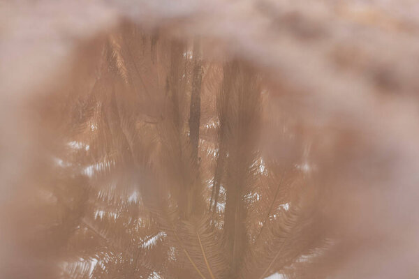 scene of gravel and overgrowth by the puddle bank. 