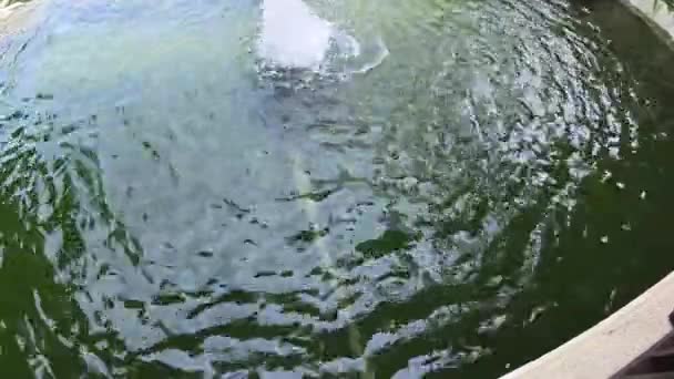 屋外スプラッシュウォーター池の庭 — ストック動画