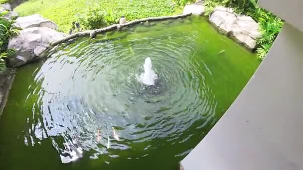 Outdoor Splash Water Pond Garden — Stockvideo