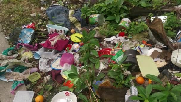 Perak Malaysia January 2023 Illegal Irresponsible Dumping Domestic Waste Materials — Vídeo de Stock