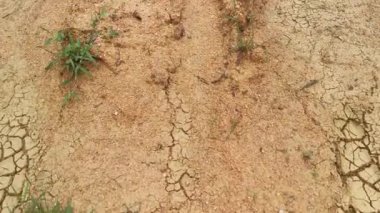 Su birikintisi kuruduktan sonra kuru ve çatlak çamur dokusu sahnesi.