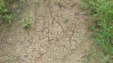 Su birikintisi kuruduktan sonra kuru ve çatlak çamur dokusu sahnesi.