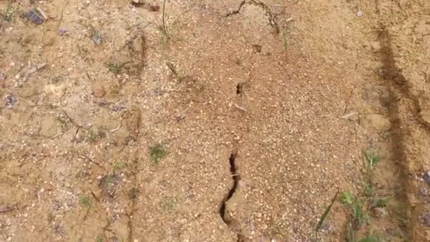 Scene Dry Crack Mud Texture Puddle Water Dried — Stockvideo