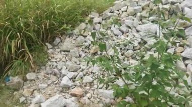 Açık hava çiftliğinde kırık granit taş yığını.