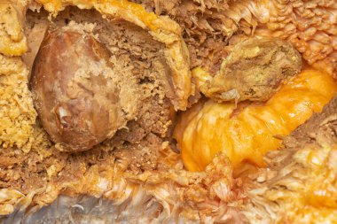 rotten flesh of the Artocarpus integer inner fruit.