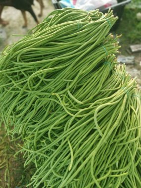 bunch of raw fresh green asparagus bean vegetable
