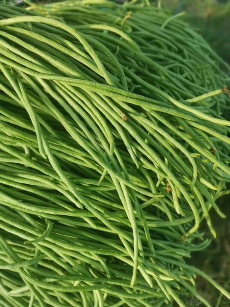 Bukiet Surowych Świeżych Warzyw Zielonych Szparagów — Zdjęcie stockowe