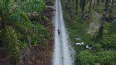 man taking quick shots mode with his drone at the pathway on the agriculture farmland 