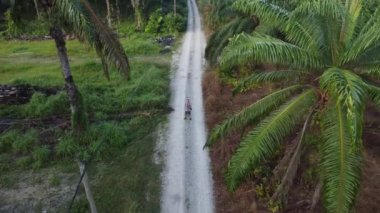 man taking quick shots mode with his drone at the pathway on the agriculture farmland 