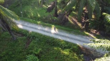 man taking quick shots mode with his drone at the pathway on the agriculture farmland 