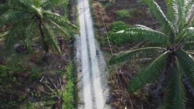 man taking quick shots mode with his drone at the pathway on the agriculture farmland 
