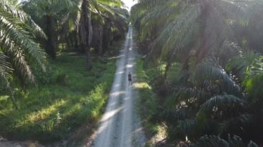 man taking quick shots mode with his drone at the pathway on the agriculture farmland 