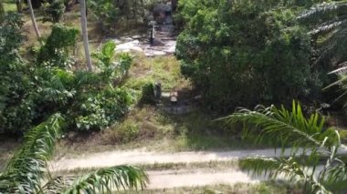 man taking quick shots mode with his drone at the pathway on the agriculture farmland 