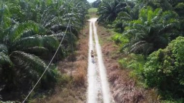 man taking quick shots mode with his drone at the pathway on the agriculture farmland 