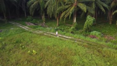man taking quick shots mode with his drone at the pathway on the agriculture farmland 