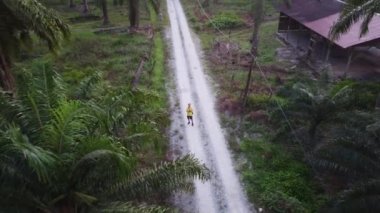 man taking quick shots mode with his drone at the pathway on the agriculture farmland 