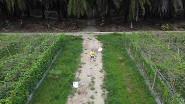 Man Taking Quick Shots Mode His Drone Pathway Agriculture Farmland — Stock video