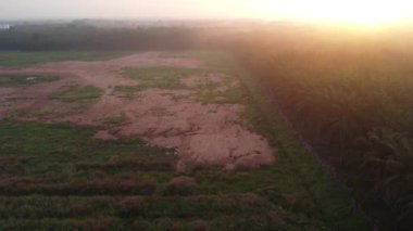 boş tarım arazisi çevresindeki güzel altın saat hava manzarası 