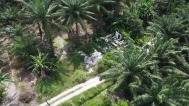 Çiftlikteki yıkılan ahşap evde insansız hava aracı uçuran bir adamın görüntüsü..