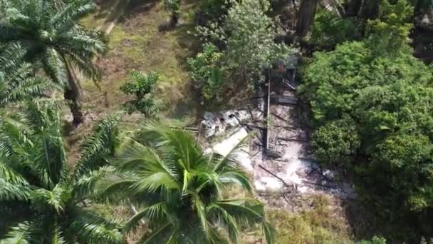 Cena Aérea Homem Voando Drone Casa Madeira Demolida Plantação — Vídeo de Stock