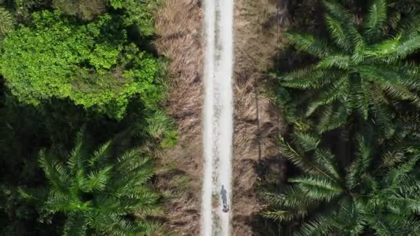 在棕榈油种植园 一架无人驾驶飞机沿着乡村沙地小路飞行的空中场景 — 图库视频影像