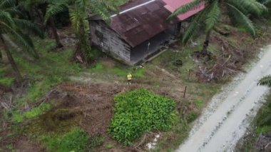 Çiftlikteki terk edilmiş ahşap evde İHA uçuran bir adamın hava görüntüsü..