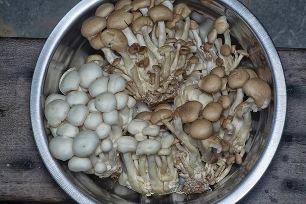 Close Shot Cluster Clamshell Mushrooms — Stock Photo, Image