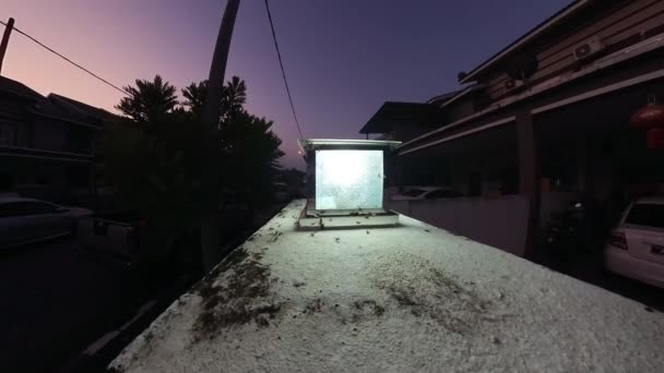 Swarms Alates Insect Attracted Utility Lights Porch Lamp — Stock Video